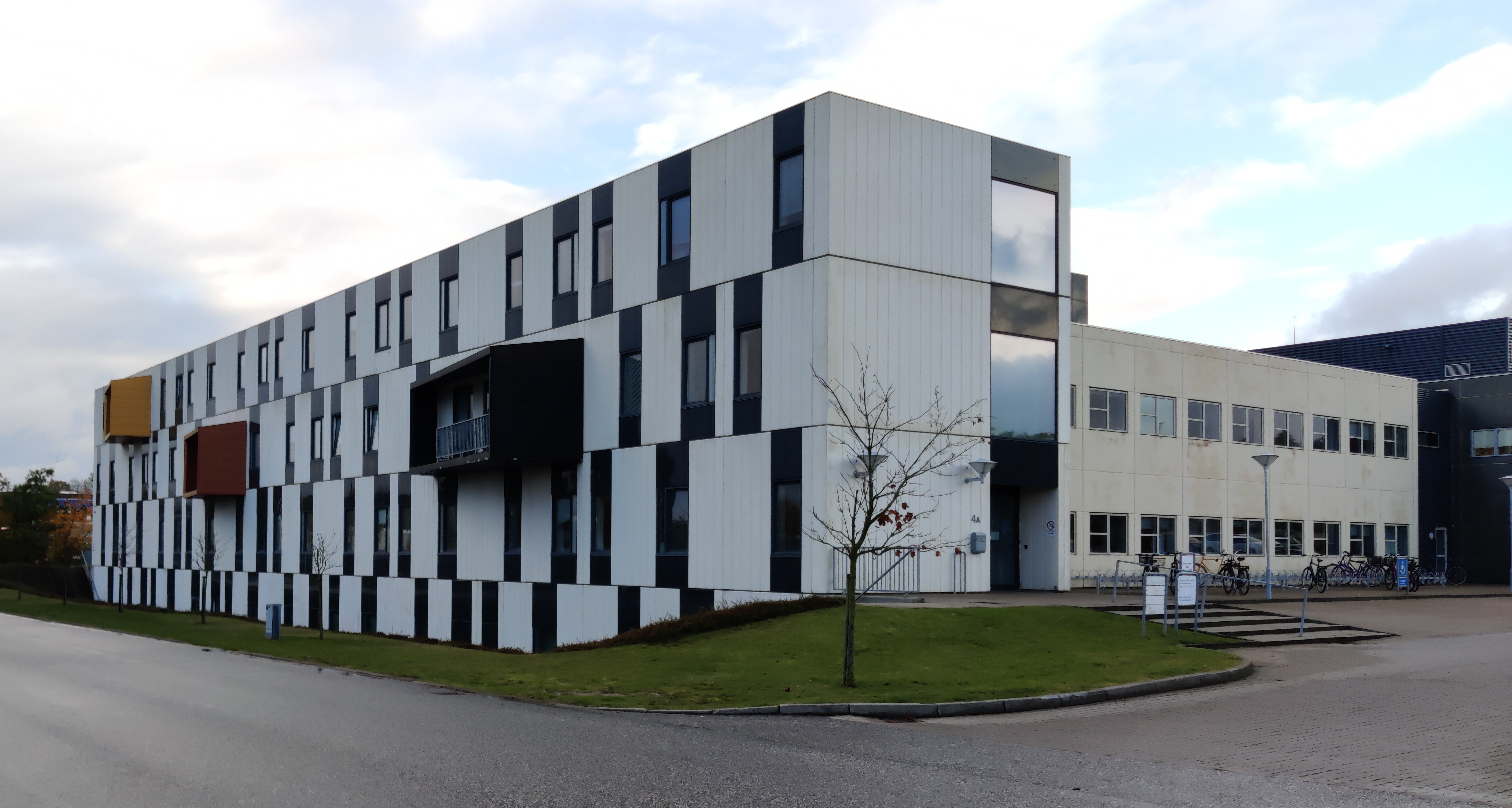 Institutet på skjernvej